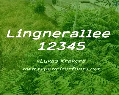 Lingnerallee 12345 font