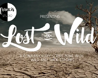 Lost in Wild Free font