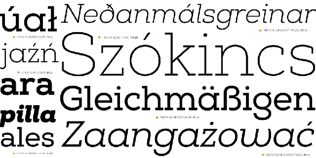 Nexa Slab Family font