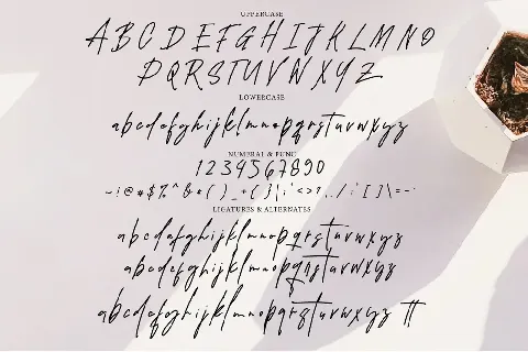Windya Signature font