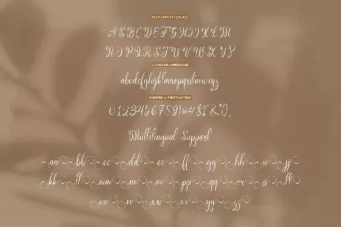 Olynchan font