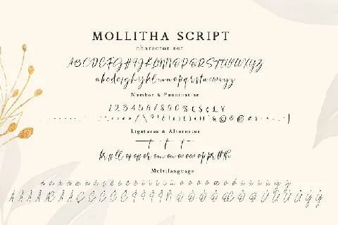 Mollitha Modern Calligraphy font