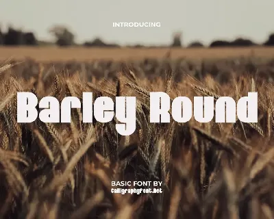 Barley Round font
