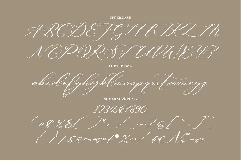 Beautilina Premium font