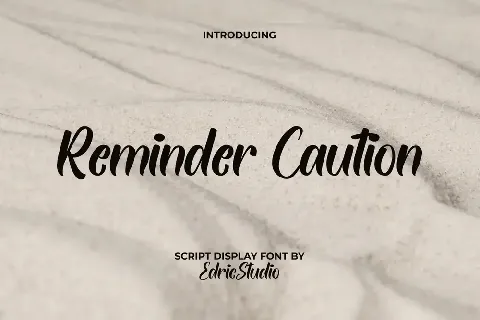 ReminderCaution Demo font