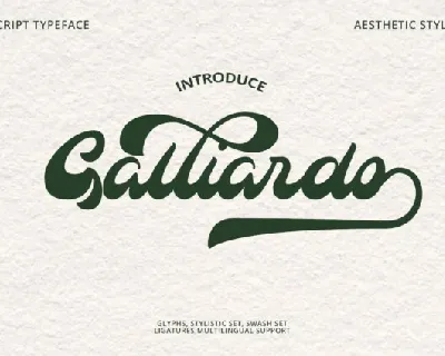 Galliardo Typeface font