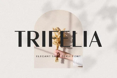 Trifelia font