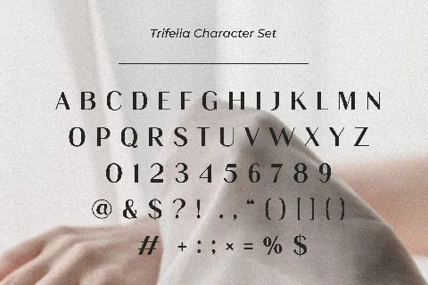 Trifelia font