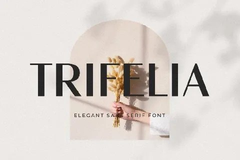 Trifelia font