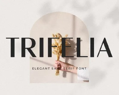 Trifelia font