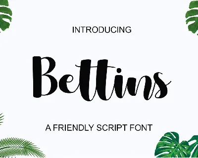 Bettins - Personal use font