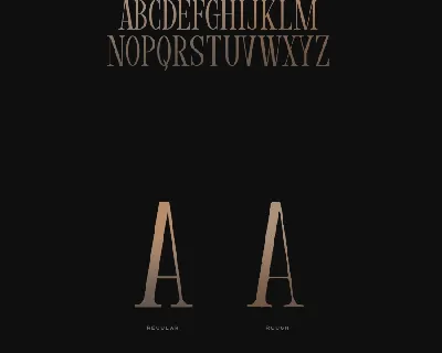 Vera Typeface font