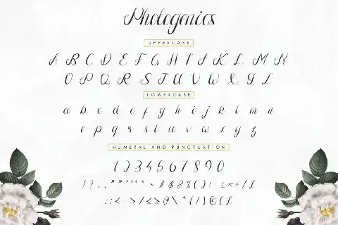 Photogenics Demo font