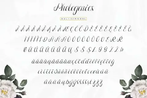 Photogenics Demo font