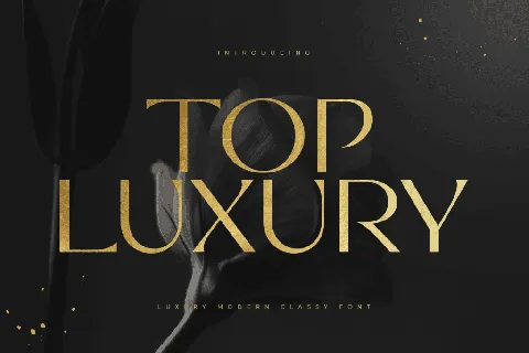 TOP LUXURY font