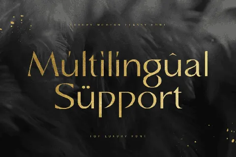 TOP LUXURY font