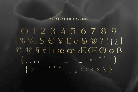 TOP LUXURY font