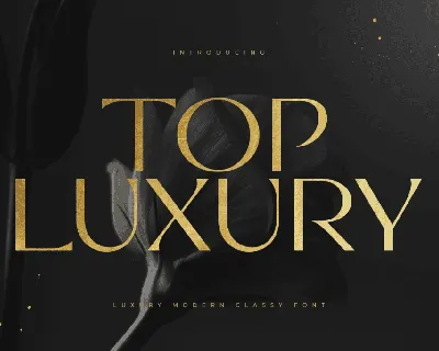 TOP LUXURY font