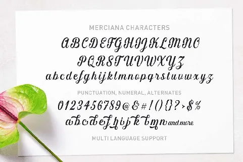 Merciana font