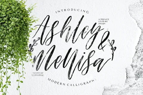 Ashley & Mellisa Demo font