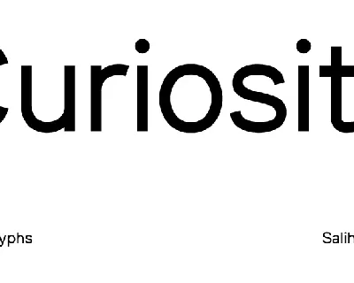 SK Curiosity Family font