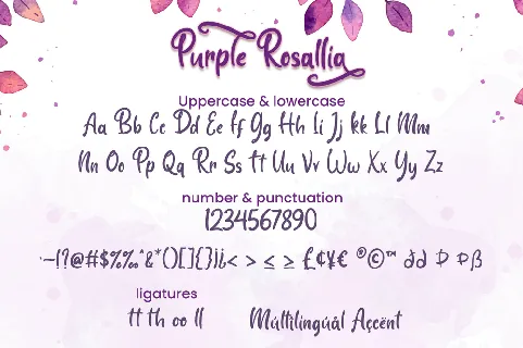 Purple Rosallia - Personal Use font