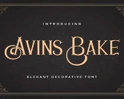 Avins Bake Display font