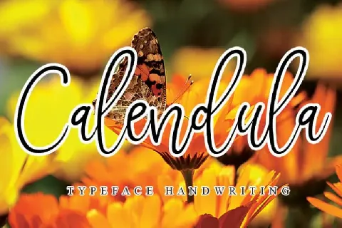 Calendula Handwritten font