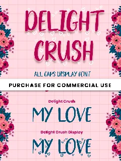 Delight Crush - Personal Use font