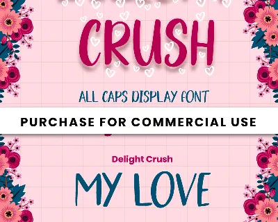 Delight Crush - Personal Use font