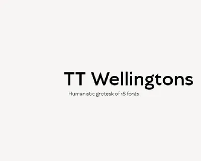 TT Wellingtons Family font