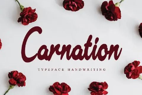 Carnation Handwritten font