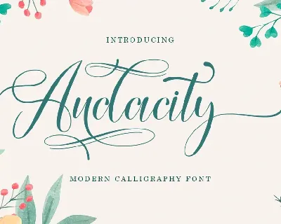 Audacity Script font