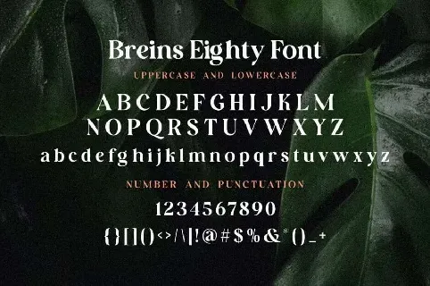Breins Eighty font