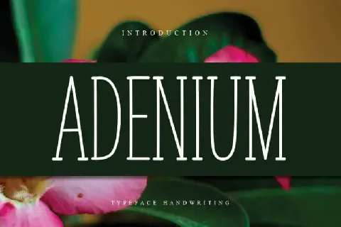 ADENIUM Display font