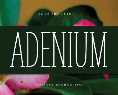 ADENIUM Display font