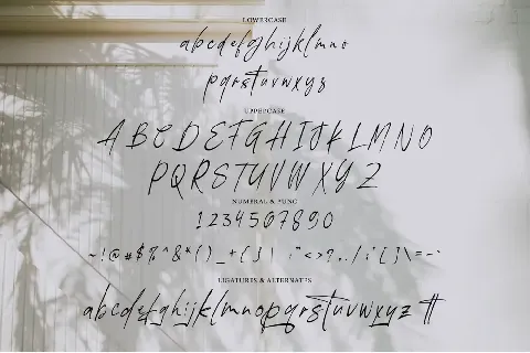 Wistonia Signature font