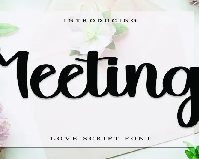 Meeting font