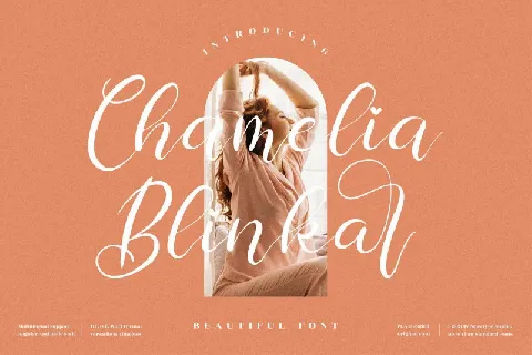 Chamelia Blinkar font