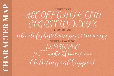 Chamelia Blinkar font