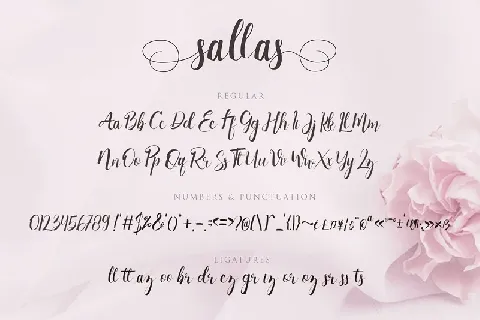 Sallas Modern Calligraphy font