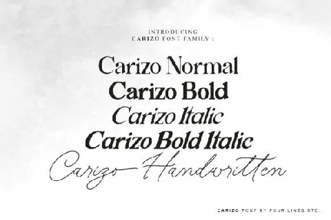 Carizo font