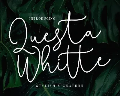 Questa Whitte Signature font