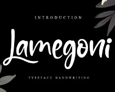 Lamegoni Script font