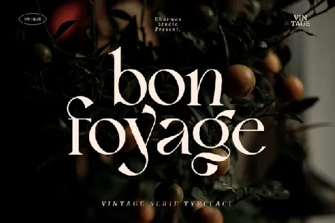 Bon Foyage font