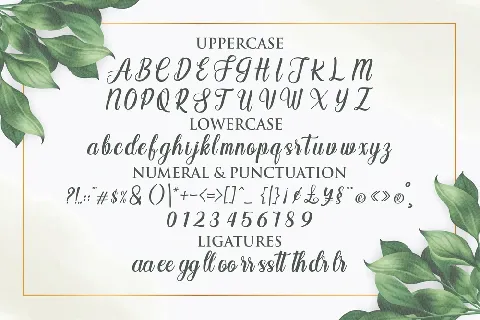 Angelia font