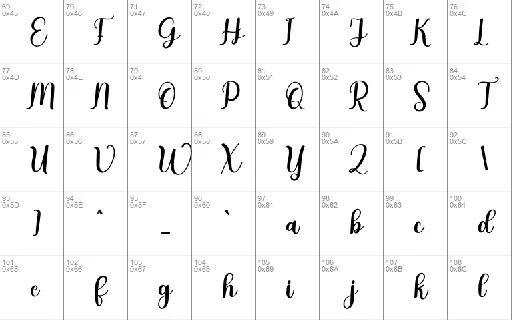 Together Typeface font