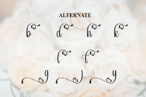 Wedding Calligraphy font