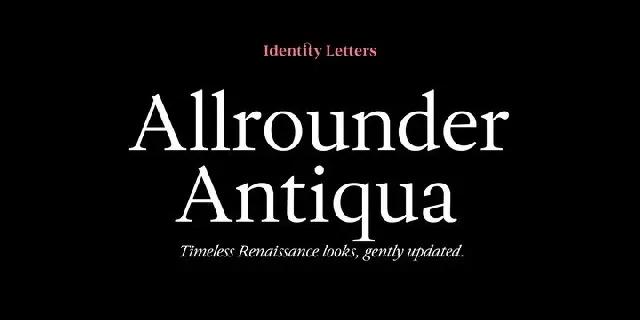 Allrounder Antiqua Family font