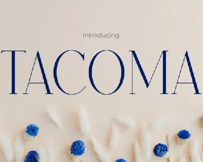 Tacoma font